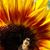 LuAnne Underhill's profile image