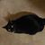 Candace Karels Fearrington's profile image