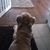 Marie Claycomb's profile image