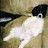 Ann Marie K's profile image