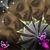 Denisha Logwood's profile image