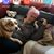 Susan Morrison's profile image