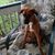 Vickie Hockaday Lowe's profile image