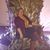Christina Elkins's profile image