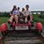 Jean Dodge Alves's profile image