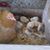 Sally McClain Baker's profile image