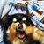 Gina Warnick Rockefeller's profile image