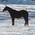 JoAnn Malsam's profile image