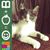 Holly Thurlow Priddy's profile image