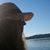 TheLovely Rita Mercer's profile image