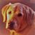 Frank J Casler's profile image