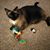 Patty Lessley-Douglas's profile image