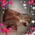 Cathy Vellucci's profile image