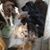 Kathleen Casciello Sadler's profile image
