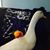 Andrea Harvie's profile image
