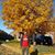 Ravinder Singh's profile image