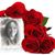 Andrea Murphy's profile image