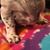 Nancy S. Henson's profile image