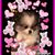 Joseph Curcio's profile image