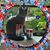Maxine Keesecker's profile image