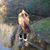 Paige Perry's profile image