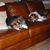 Mary Rosandich's profile image