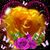 Donna Moss Curtis's profile image
