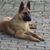 Branislav Foljan's profile image