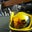 Brian Long's profile image