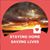 Karyn Mandracchia Ahern's profile image
