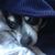 Elly Pinay's profile image