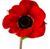 Wanda Lee Clark's profile image