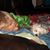 Tracy Stalter- Vruwink's profile image