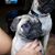 Guin Clinkenbeard's profile image