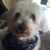 Jeanne M Corcoran-Dellinger's profile image