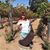 Sandy Davidson Lent's profile image
