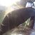 Billy Pearsall's profile image