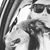 Matt Winningham's profile image