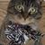 Ramona Mullins Czerwinski's profile image