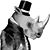 Collin Corcoran's profile image