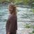 Becky Bechthold Scott's profile image