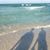 Shannon Snead Allen's profile image