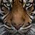 Linda Barbieri Hahn's profile image