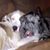 Melinda Roberts's profile image