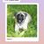 LuAnn Palma-Smith's profile image