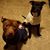 Gail Moyer's profile image