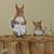 Lynn N Ben Bush's profile image