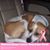 Gina Johnson-Duncan Jr.'s profile image