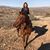 Jennie Underwood's profile image