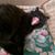 Patrick Berlier's profile image